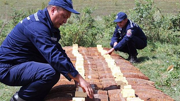 В Амурской области нашли 11 авиабомб времен Второй мировой войны