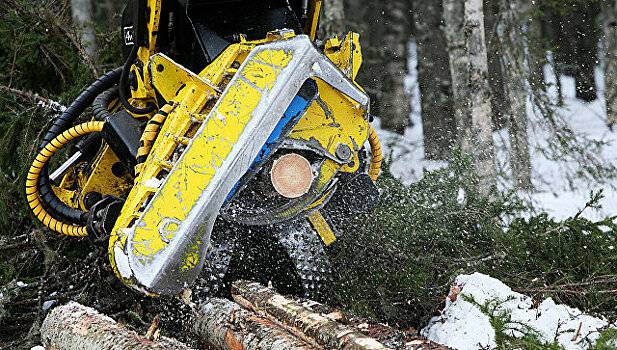 В Хабаровском крае открылся новый завод пиломатериалов