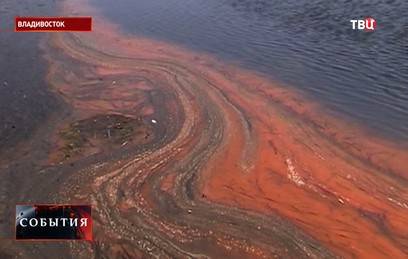 Вода в Амурском заливе окрасилась в оранжевый цвет