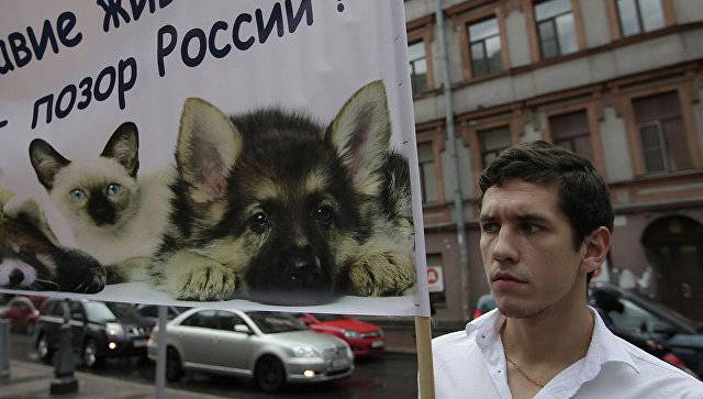 Зоозащитники "Зооправа" подали заявку на проведение митинга в Москве